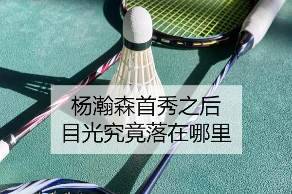 杨瀚森首秀之后 目光究竟落在哪里